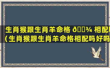 生肖猴跟生肖羊命格 🌾 相配吗（生肖猴跟生肖羊命格相配吗好吗）